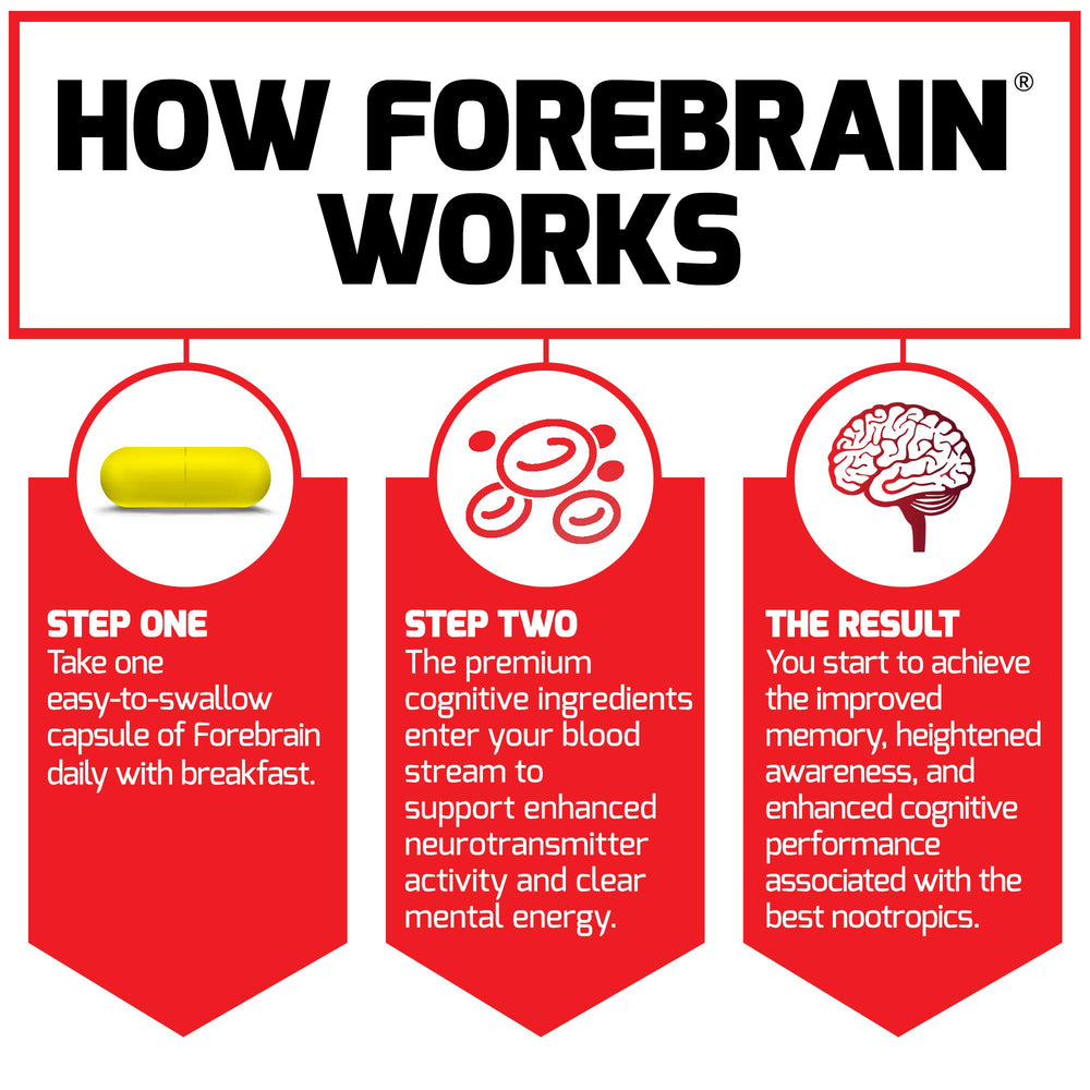 Informational graphic illustrating memory, focus, and processing benefits