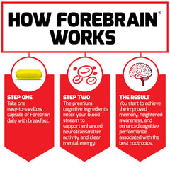 Informational graphic illustrating memory, focus, and processing benefits