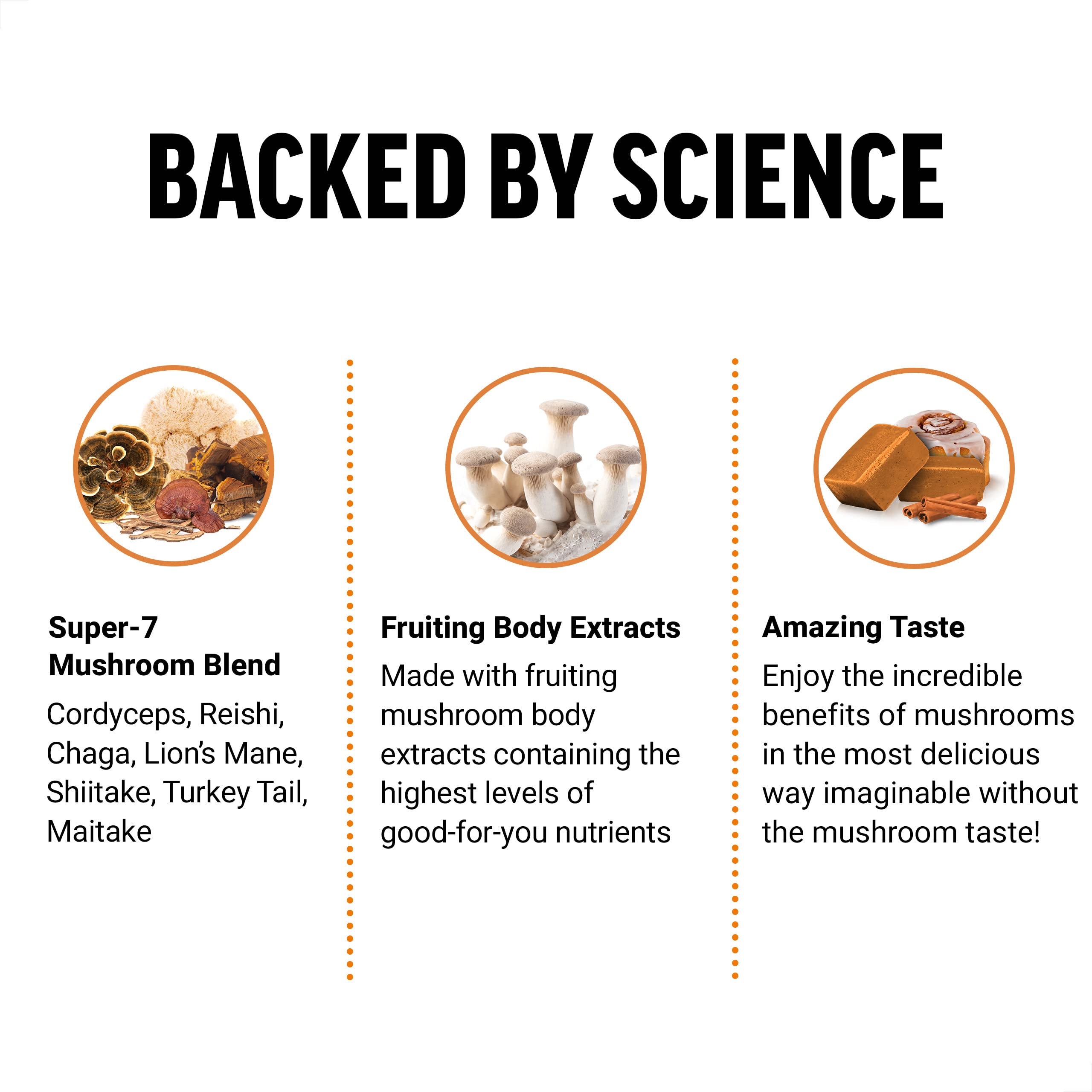 Force Factor Modern Mushrooms ingredients highlight fruiting body extracts and nutrient-rich mushrooms.