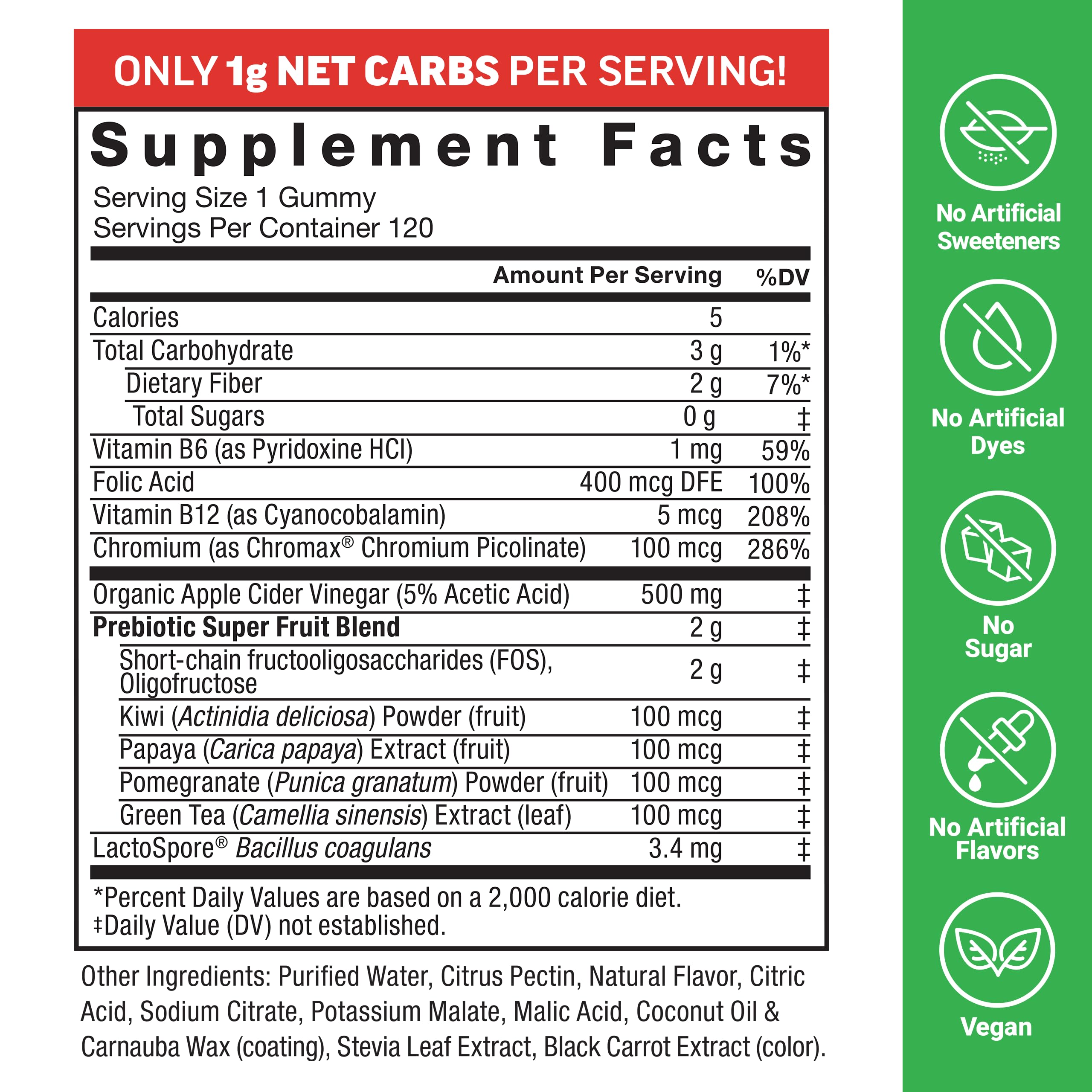 LactoSpore probiotics visual highlighting gut-friendly formulation