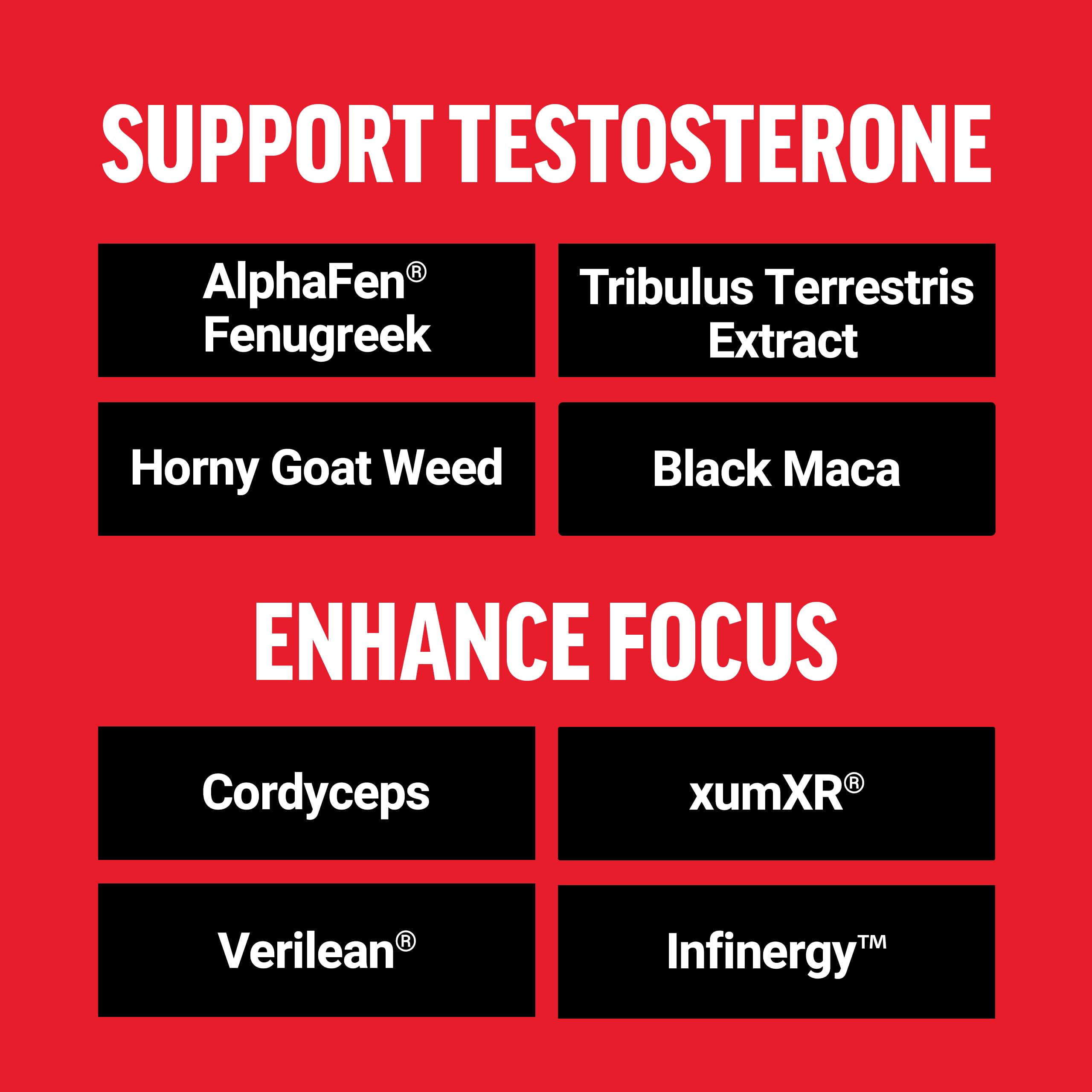 Force Factor Test X180 Surge bottle back label details key ingredients and usage.