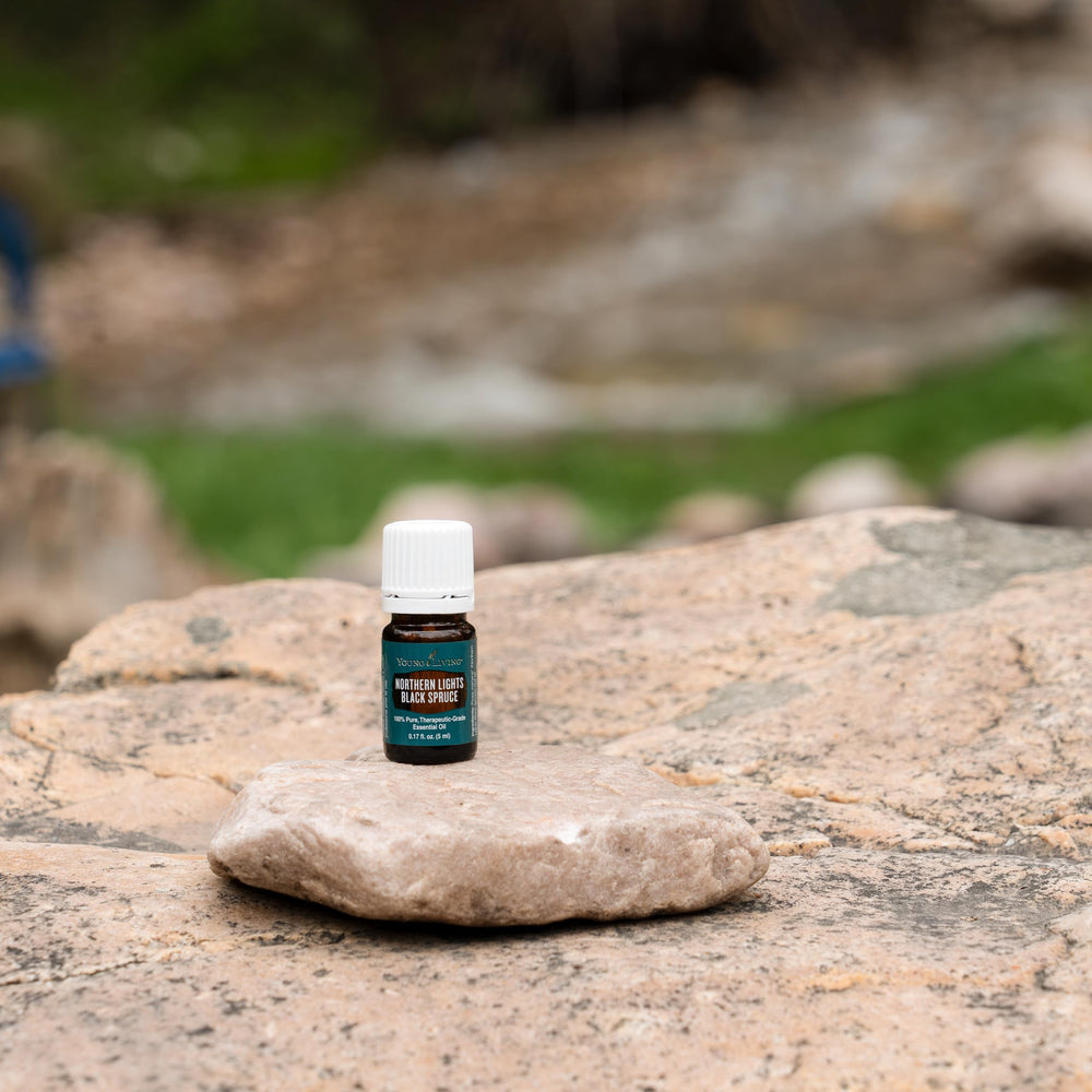 Forest-inspired scene with Northern Black Spruce evokes wellness.