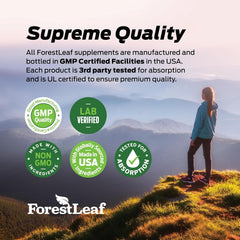 ForestLeaf bottle side view on a kitchen counter for convenient daily use.