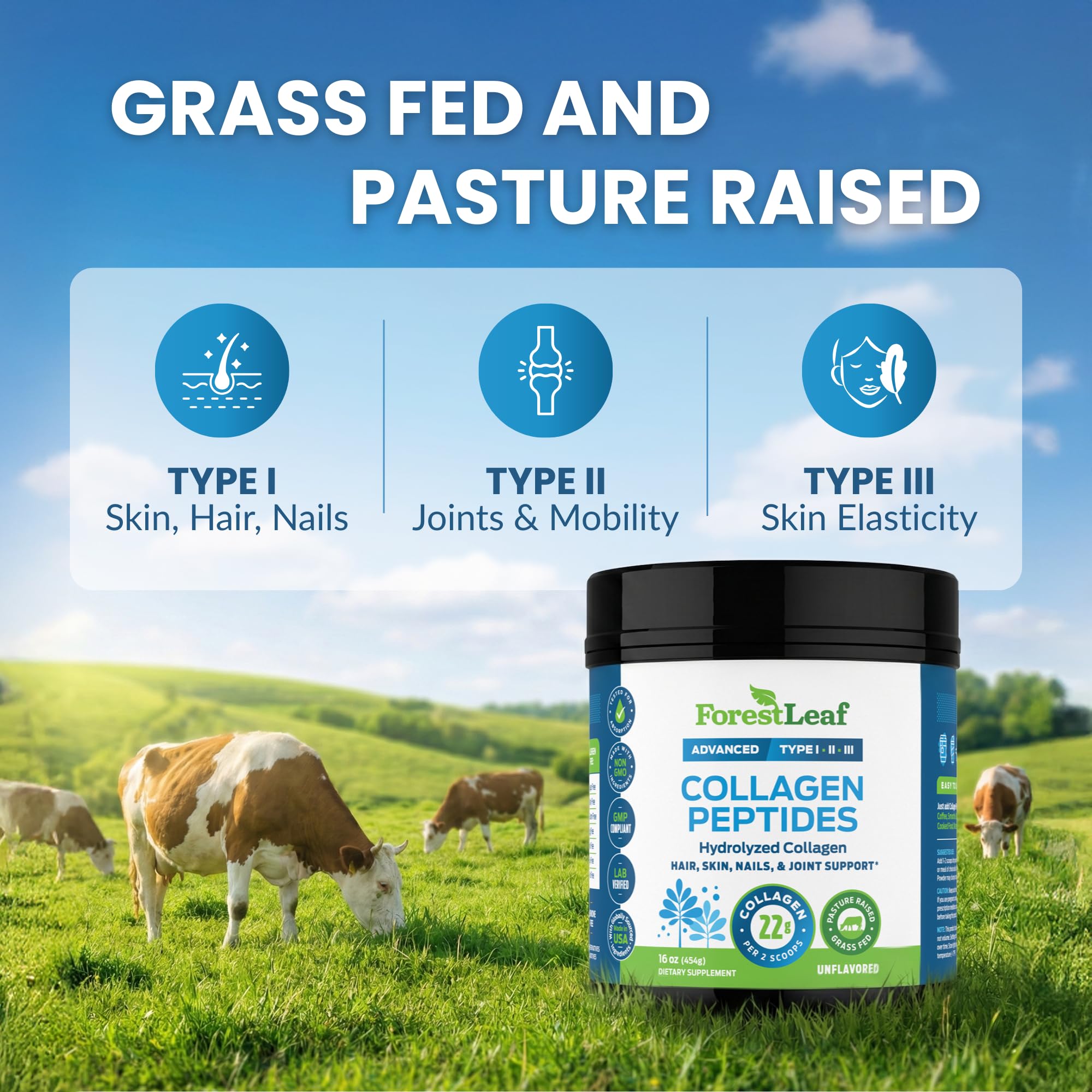 ForestLeaf Collagen Peptides label non-GMO highlights clean ingredients and GMP quality.