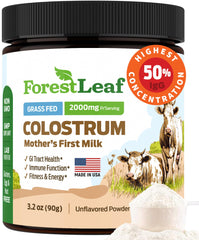 ForestLeaf Colostrum Powder bottle on kitchen counter highlighting immune and gut support