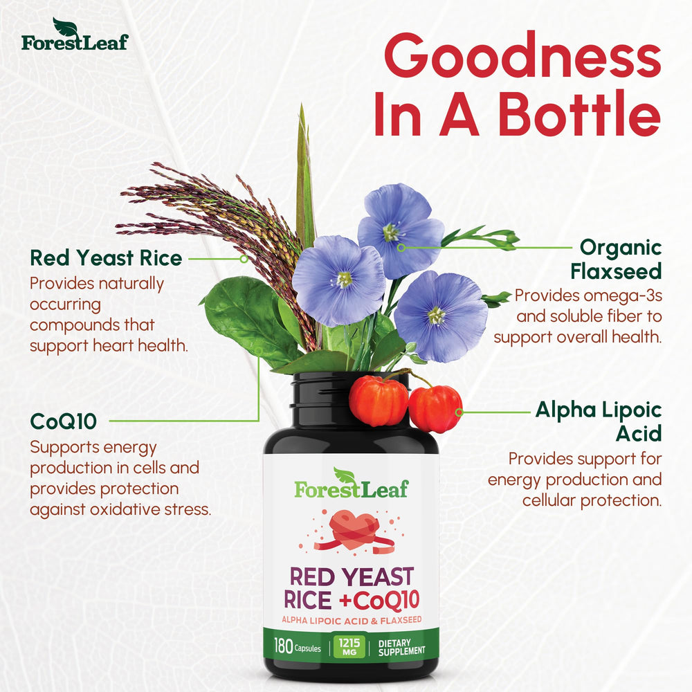 ForestLeaf CoQ10 energy support imagery indicating cellular energy potential.