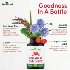ForestLeaf CoQ10 energy support imagery indicating cellular energy potential.