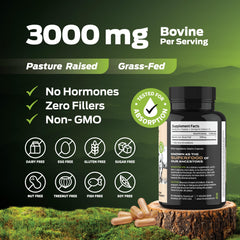 ForestLeaf five-organ blend illustration showing nutrient-dense ancestral nutrition benefits.