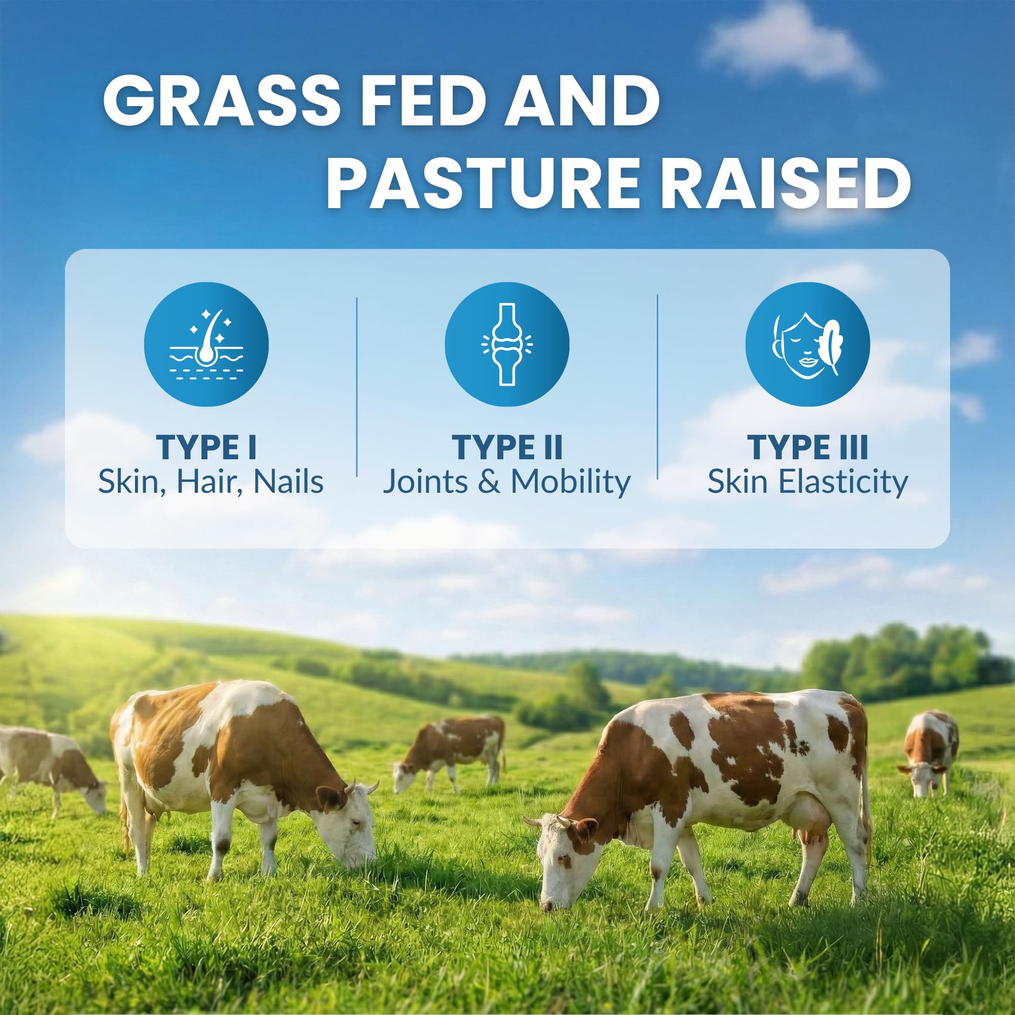 Pasture-raised ForestLeaf collagen powder beside glass of water.