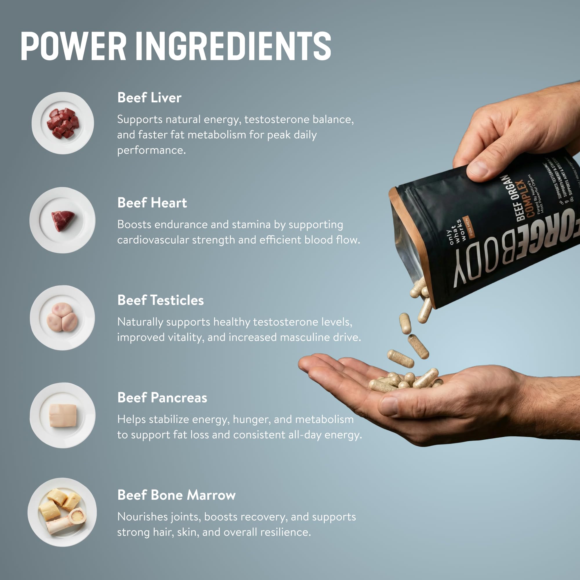FORGEBODY beef liver image highlights a nutrient-dense organ source for daily wellness.