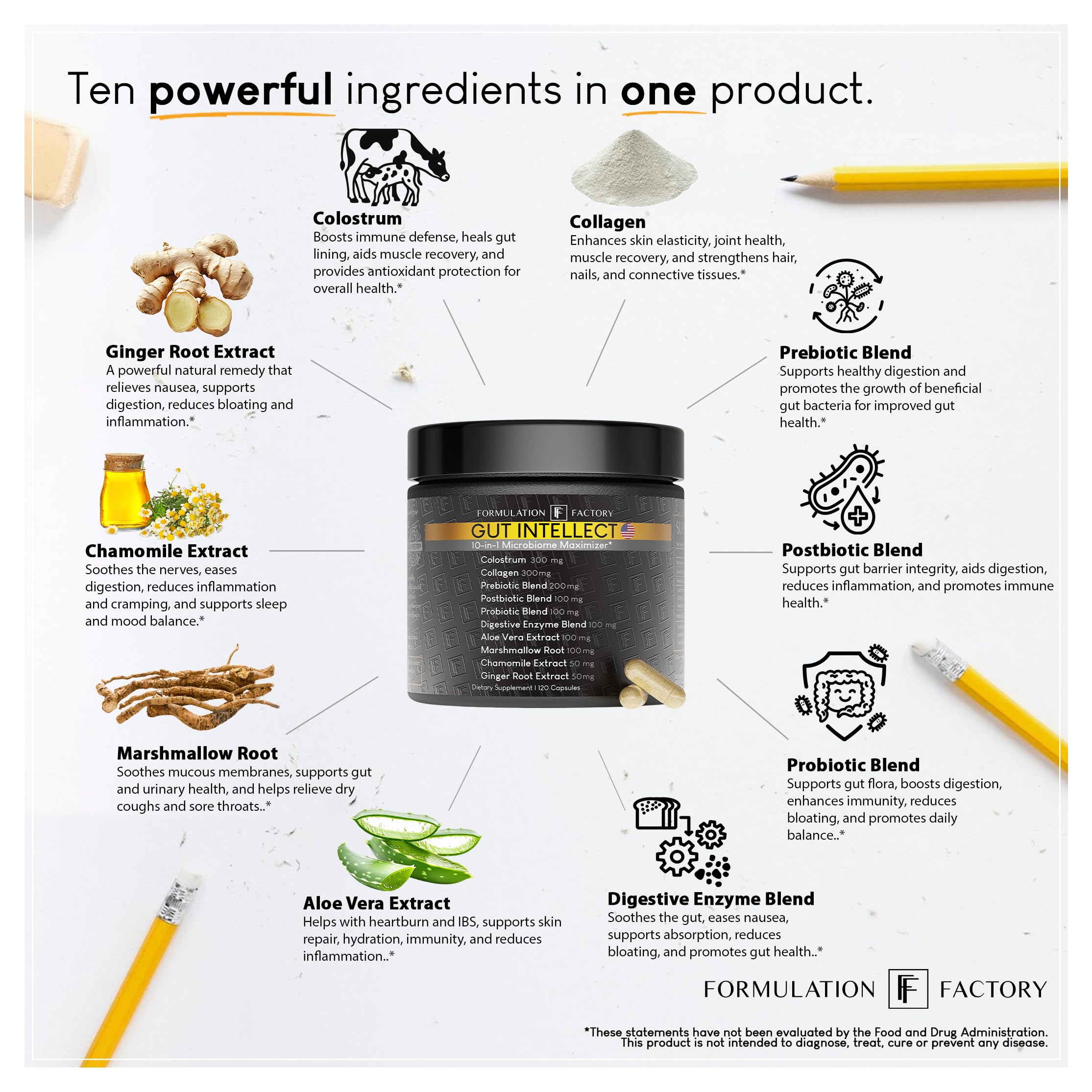 Formulation Factory Gut Intellect label detail emphasizing colostrum, collagen, and prebiotic synergy