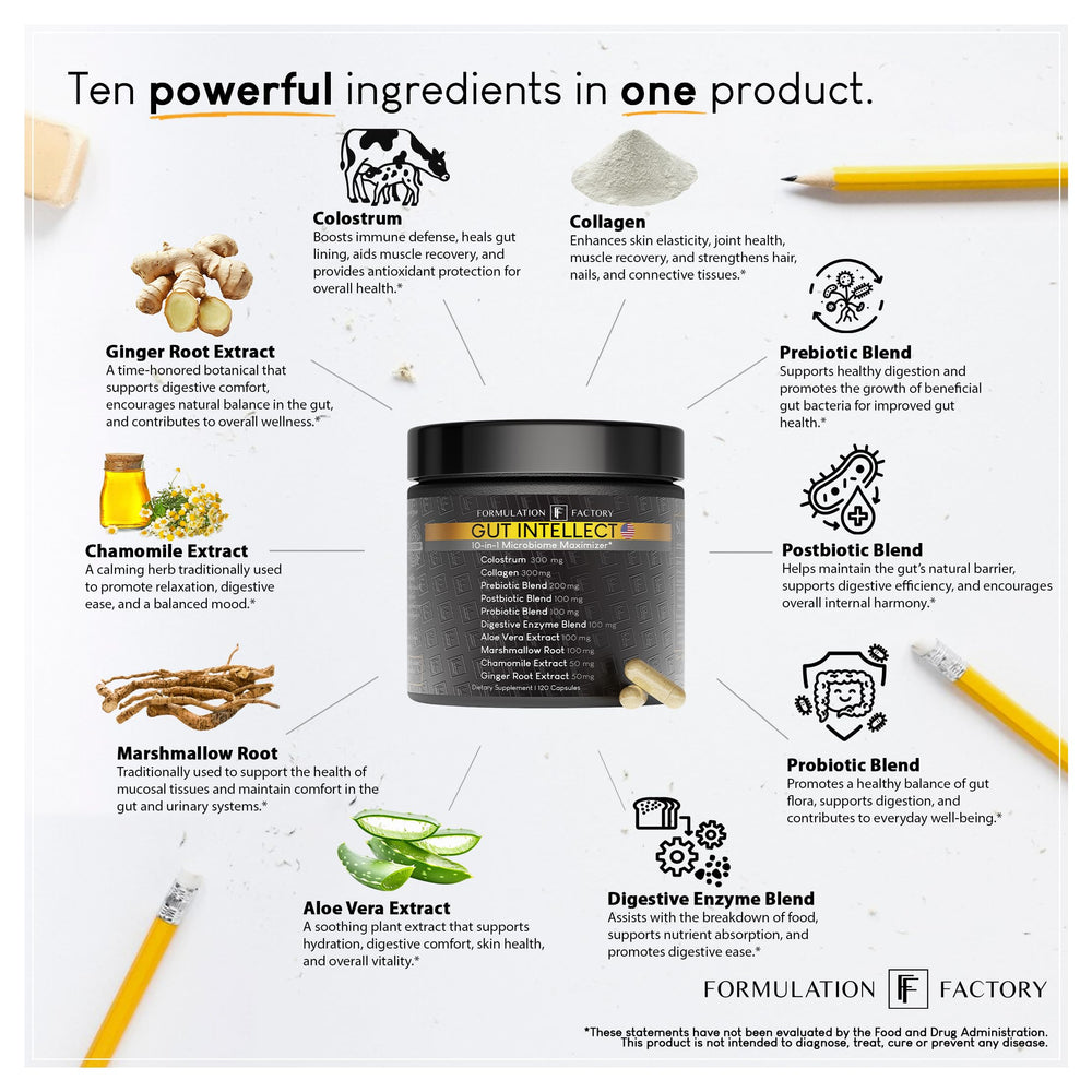 Formulation Factory Gut Intellect probiotic blend positioned for daily balance.