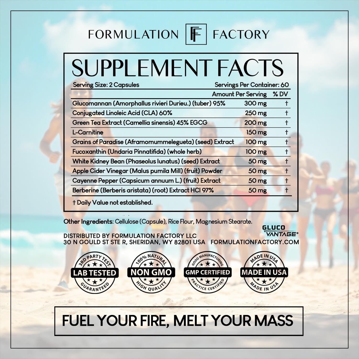 Formulation Factory Melt Mode apple cider vinegar ingredient aiding nutrient partitioning