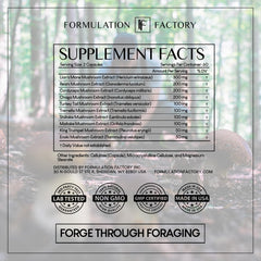 Formulation Factory Shroom Vroom energy-boost concept.