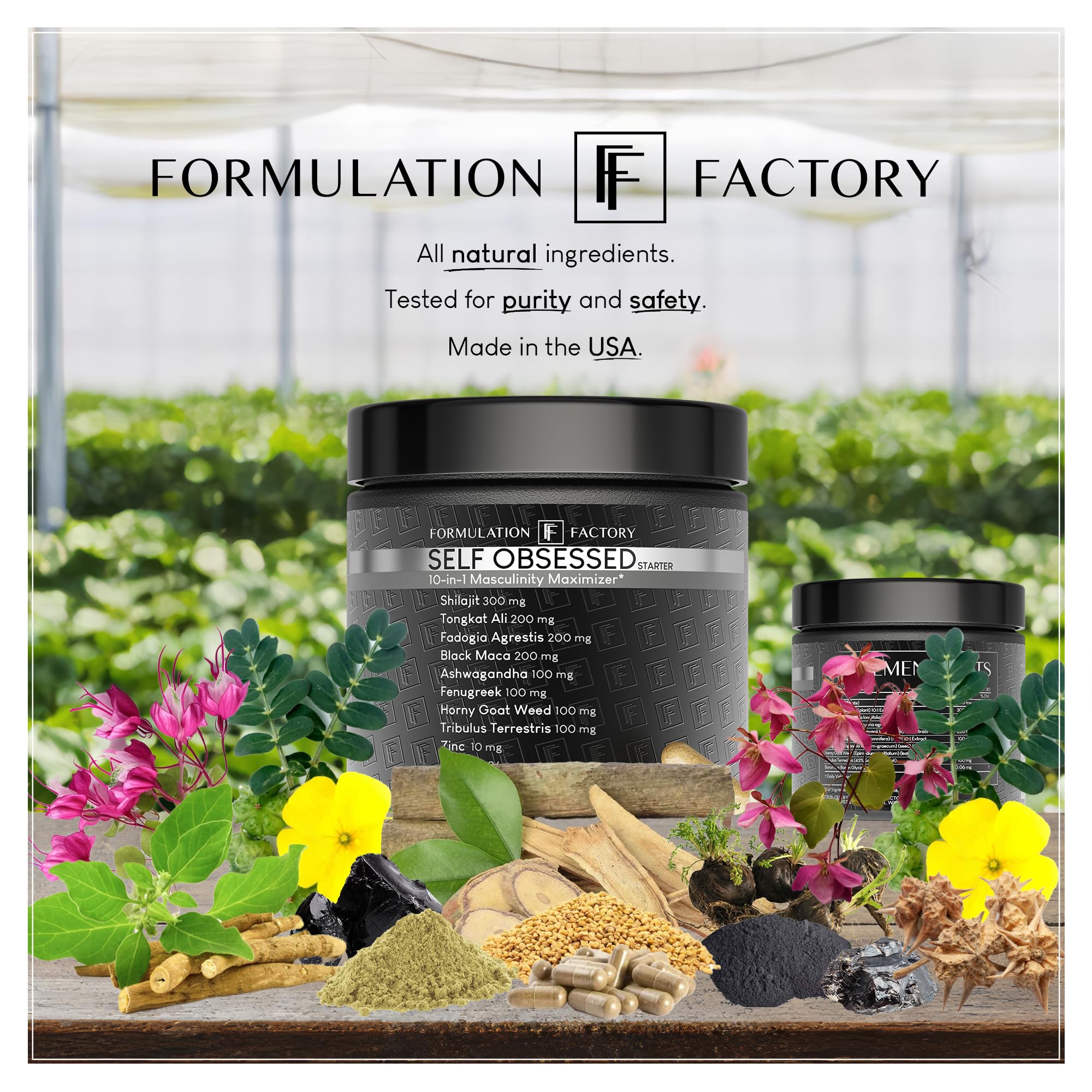 Formulation Factory Testosterone Starter nutrition panel visible