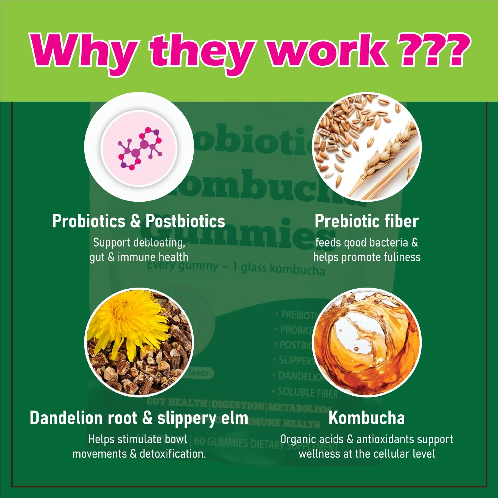 FORTIRISE gummy featuring elm bark and dandelion root in the blend