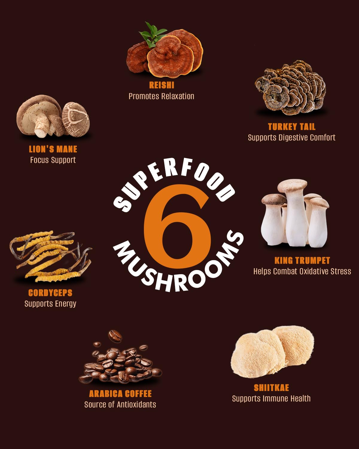 FORTISCA Reishi mushroom blend for immune-support notes in a smooth cup