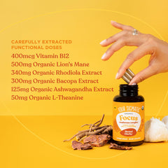Four Sigmatic Focus Capsules rhodiola display communicates endurance and mental stamina throughout the day.