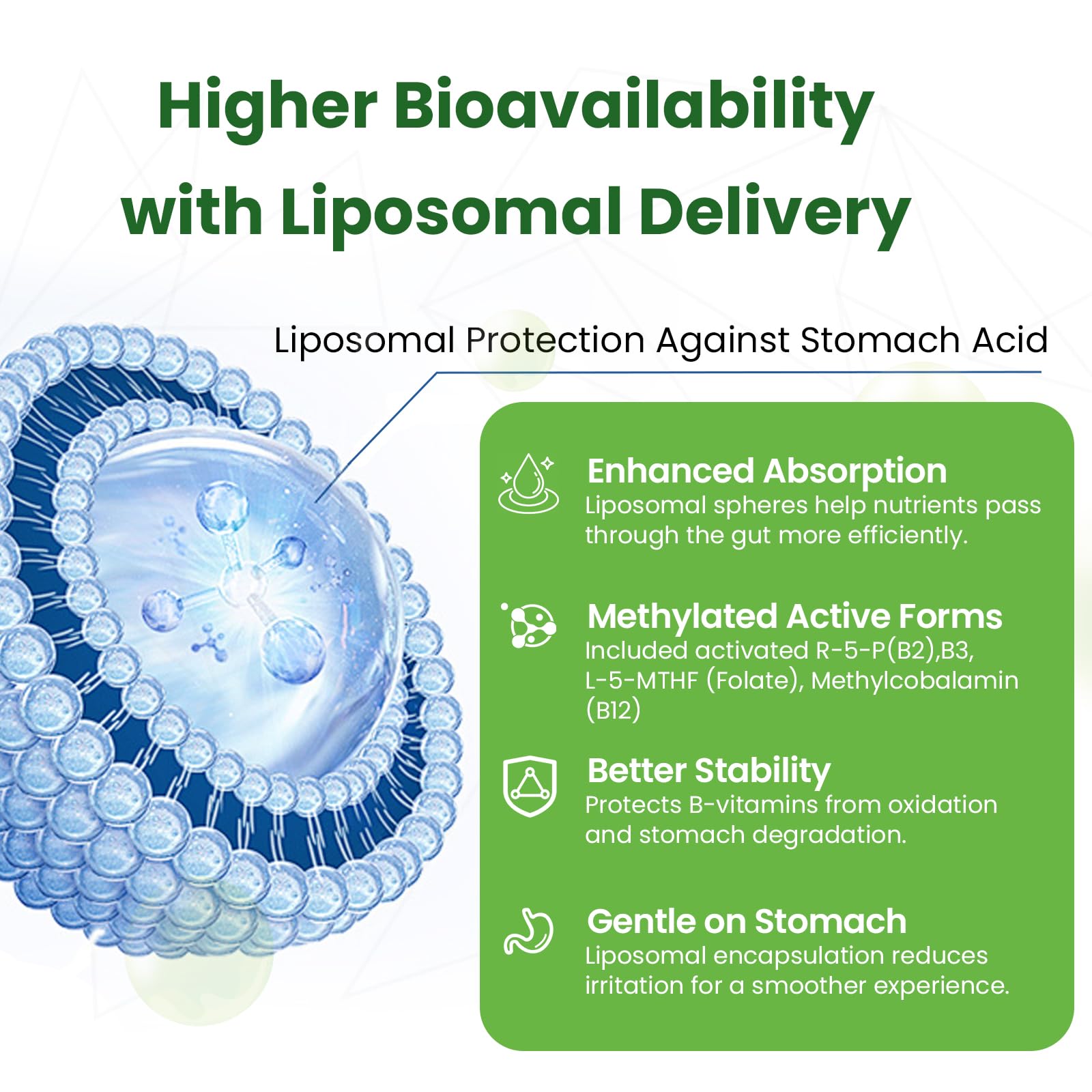 Franguly Liposomal B Complex ingredients jar featuring active B vitamins for metabolism.