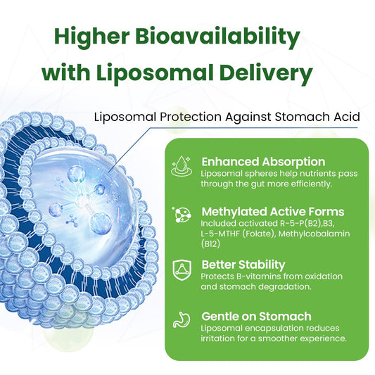 Franguly Liposomal B Complex ingredients jar featuring active B vitamins for metabolism.