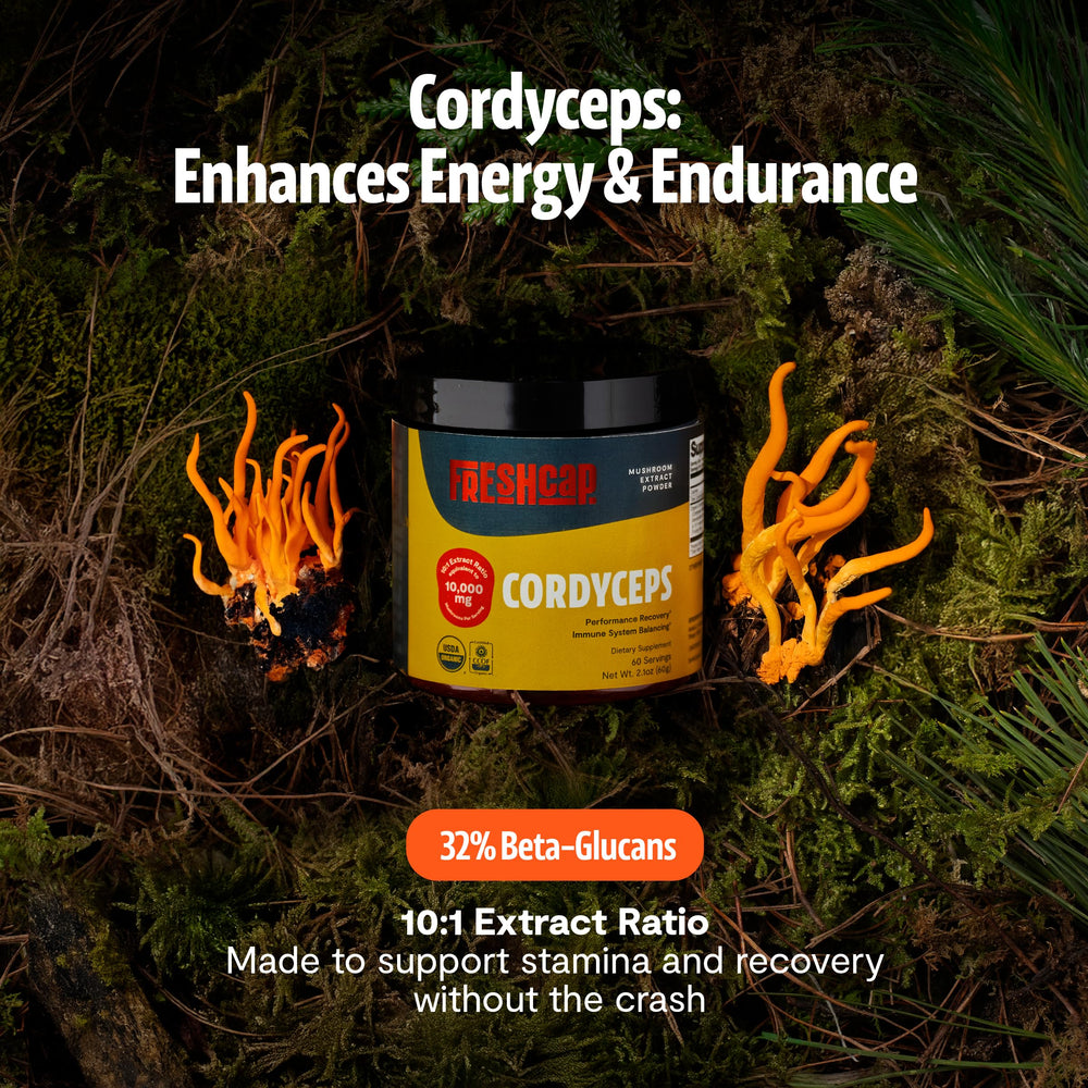 FreshCap Cordyceps powder with measuring scoop for precise daily dosage