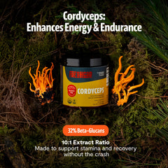 FreshCap Cordyceps powder with measuring scoop for precise daily dosage