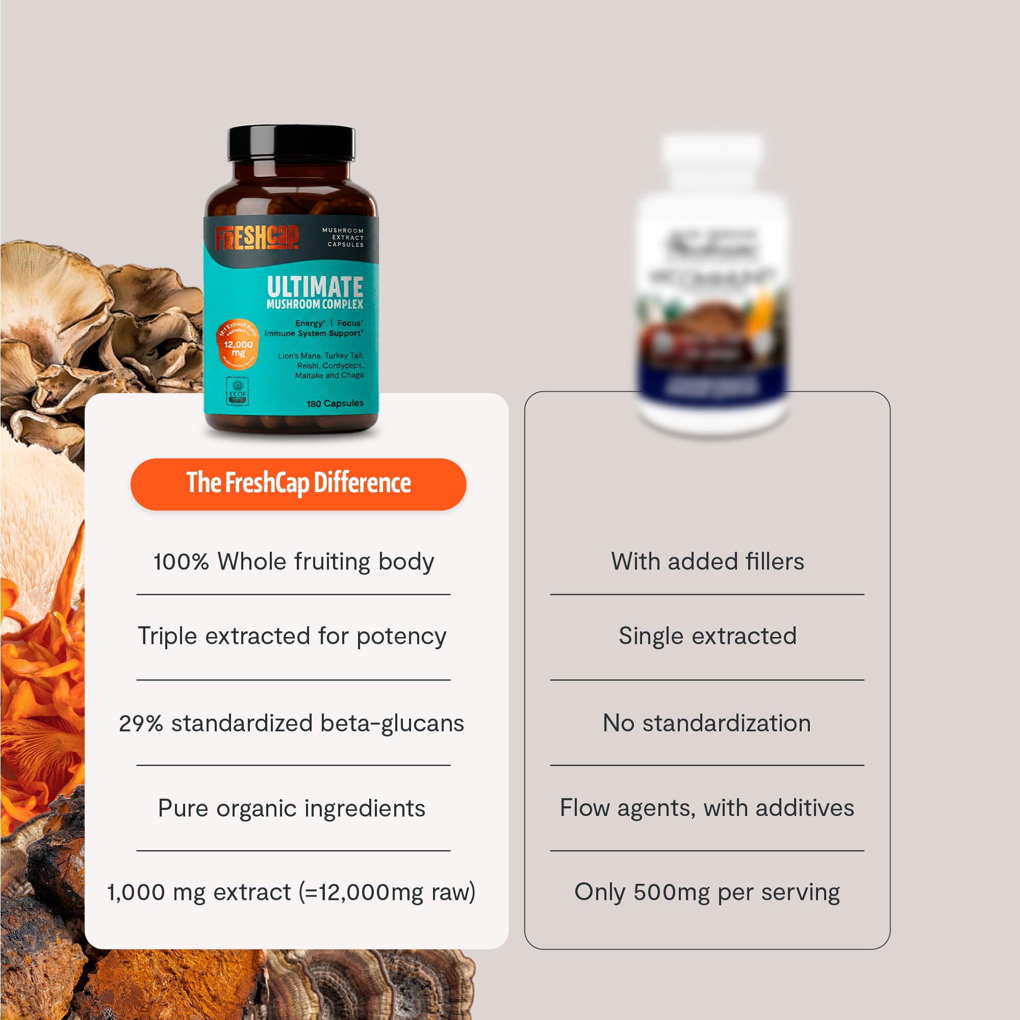 FreshCap Immune Support Mushrooms capture a wellness ritual with Turkey Tail and Chaga.