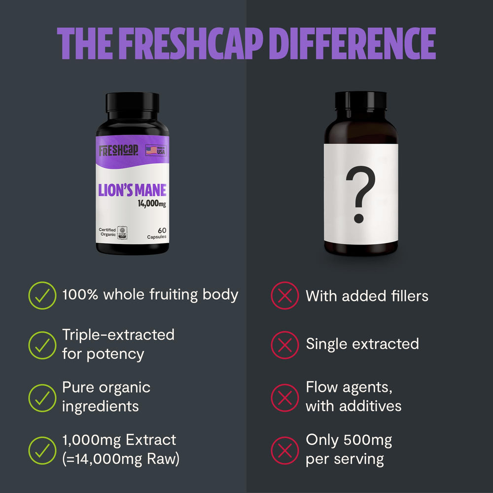 Morning daily-use setup with FreshCap Lions Mane for focus