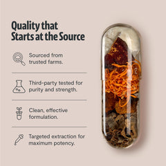 FreshCap Mushroom Capsules dispensed into a hand illustrate on-the-go use.