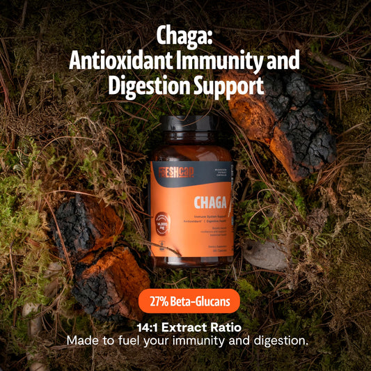 FreshCap Mushrooms Chaga capsules closeup showing capsule texture