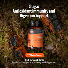 FreshCap Mushrooms Chaga capsules closeup showing capsule texture