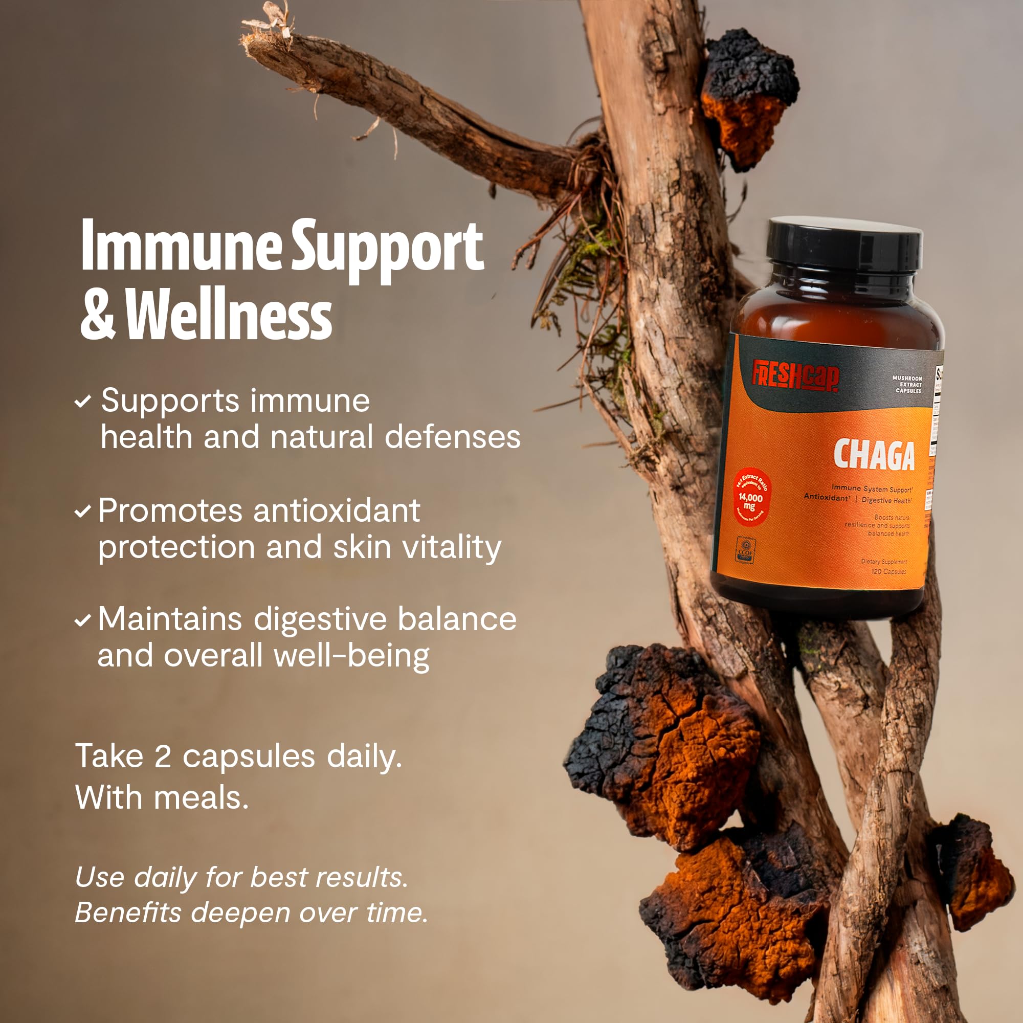 FreshCap Mushrooms Chaga capsules dispensed for convenient dosing