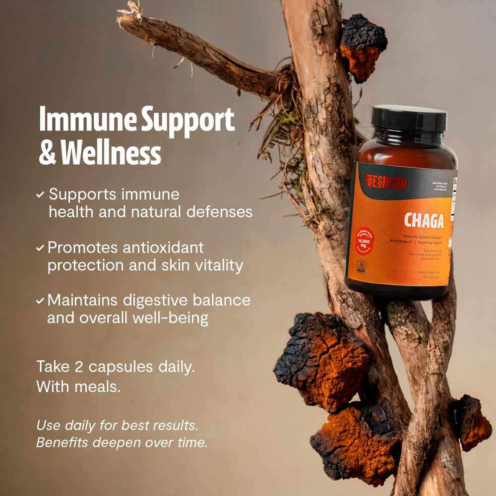 FreshCap Mushrooms Chaga capsules dispensed for convenient dosing