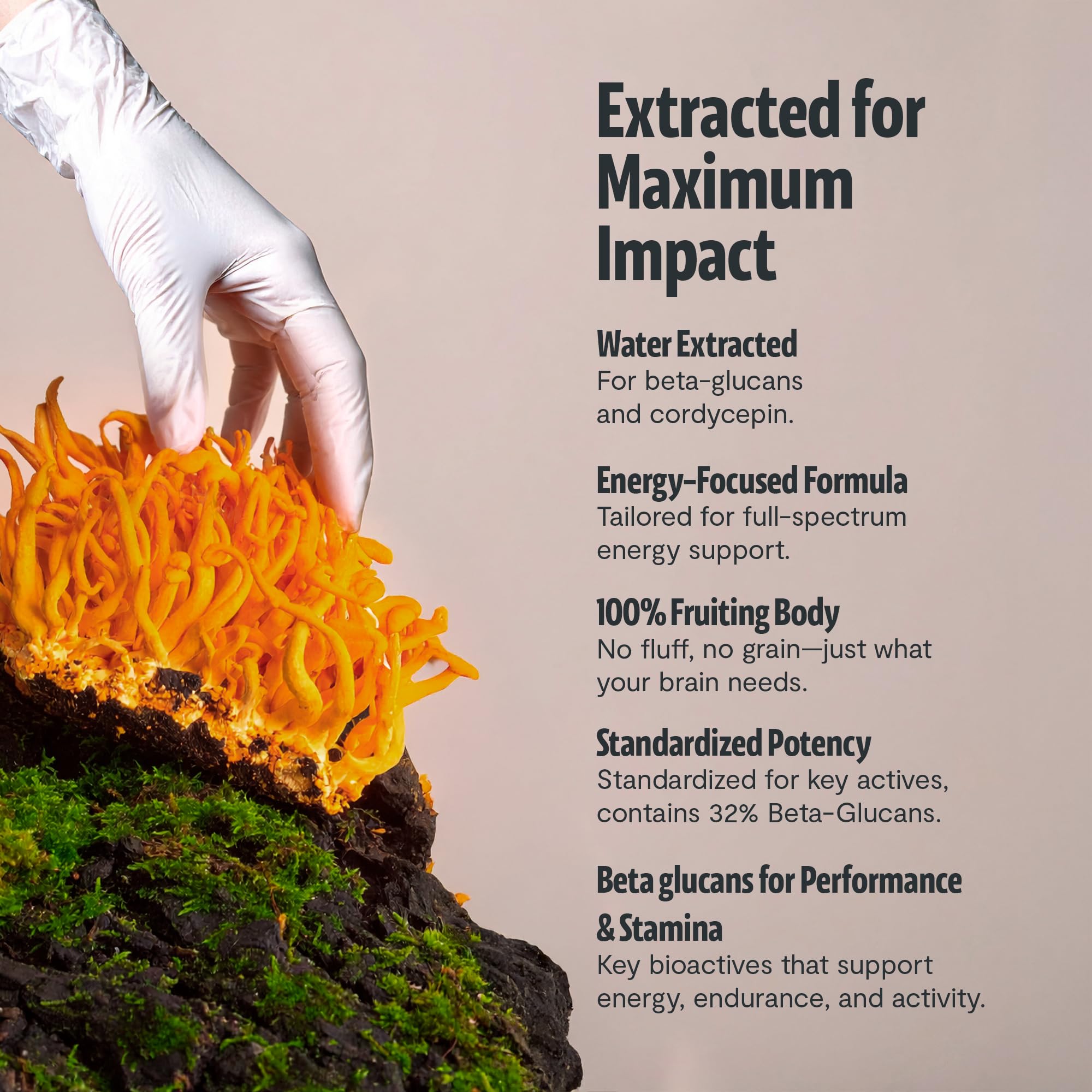 FreshCap Mushrooms Cordyceps capsules closeup shows a premium water-extracted extract