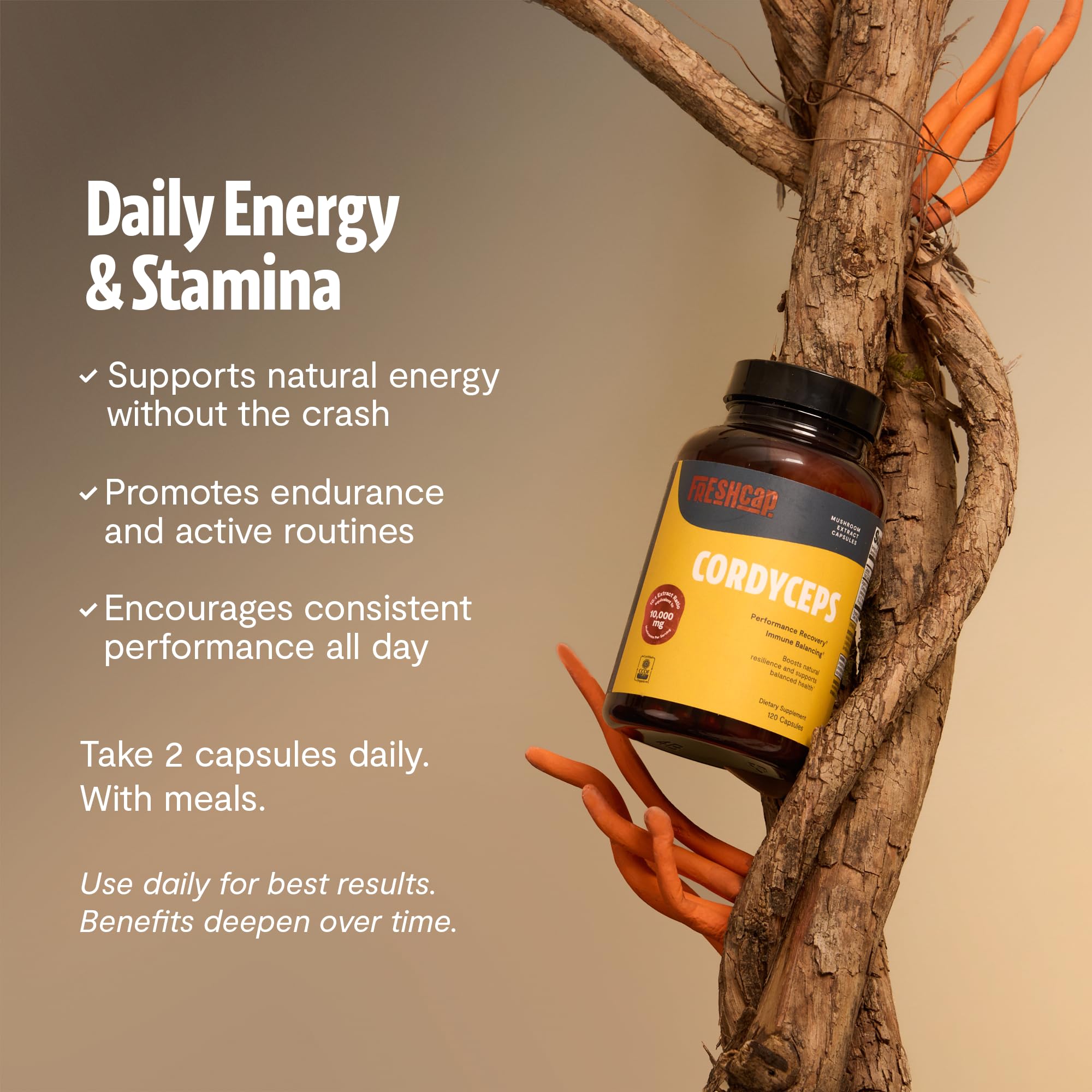 FreshCap Mushrooms Cordyceps capsules label confirms organic, non-GMO ingredients