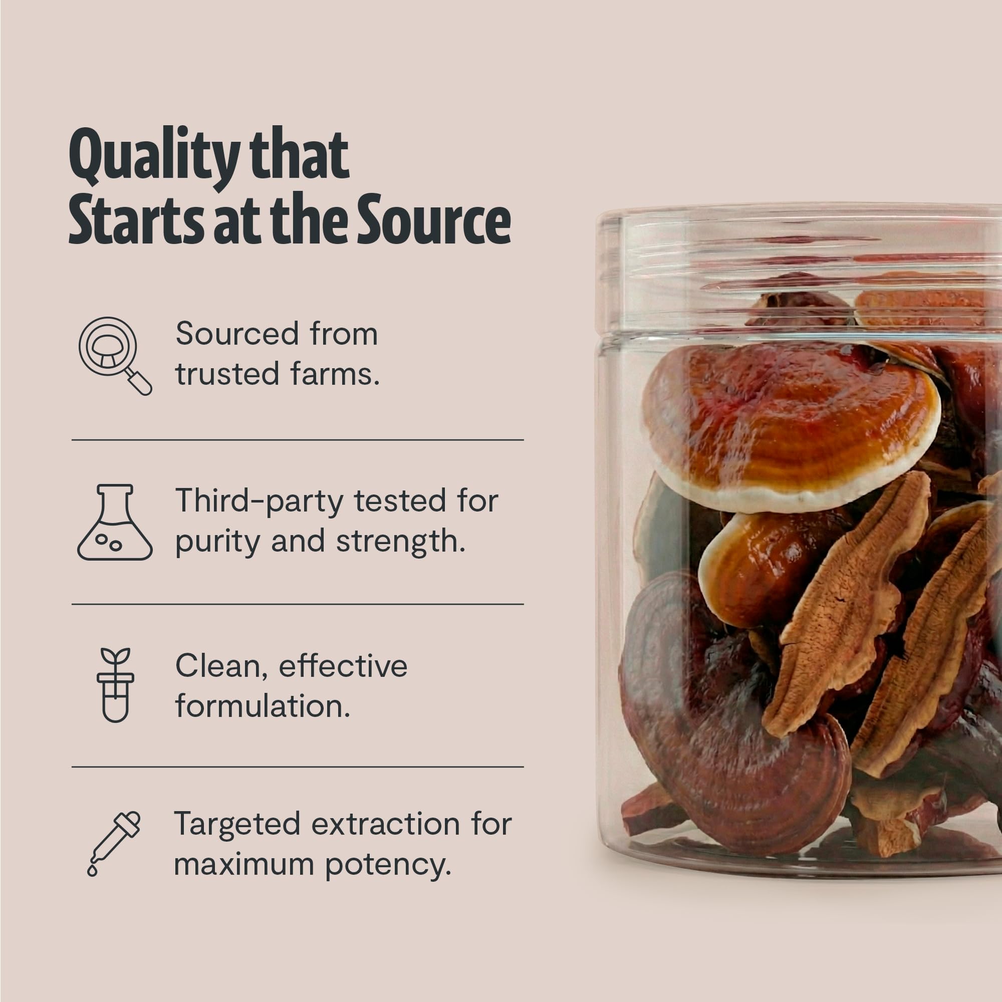 Container back panel shows organic, non-GMO, vegan, gluten-free attributes.