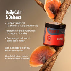 Close-up of scoop and powder texture highlighting fine organic mushroom powder.