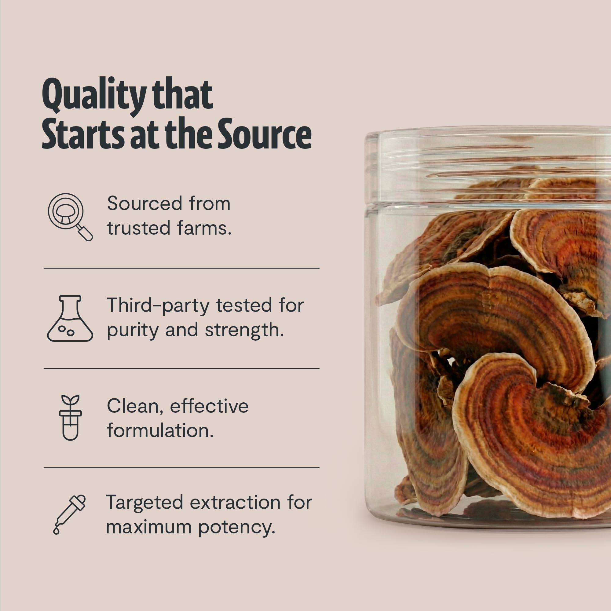 FreshCap Mushrooms Turkey Tail powder near coffee for quick daily usage.