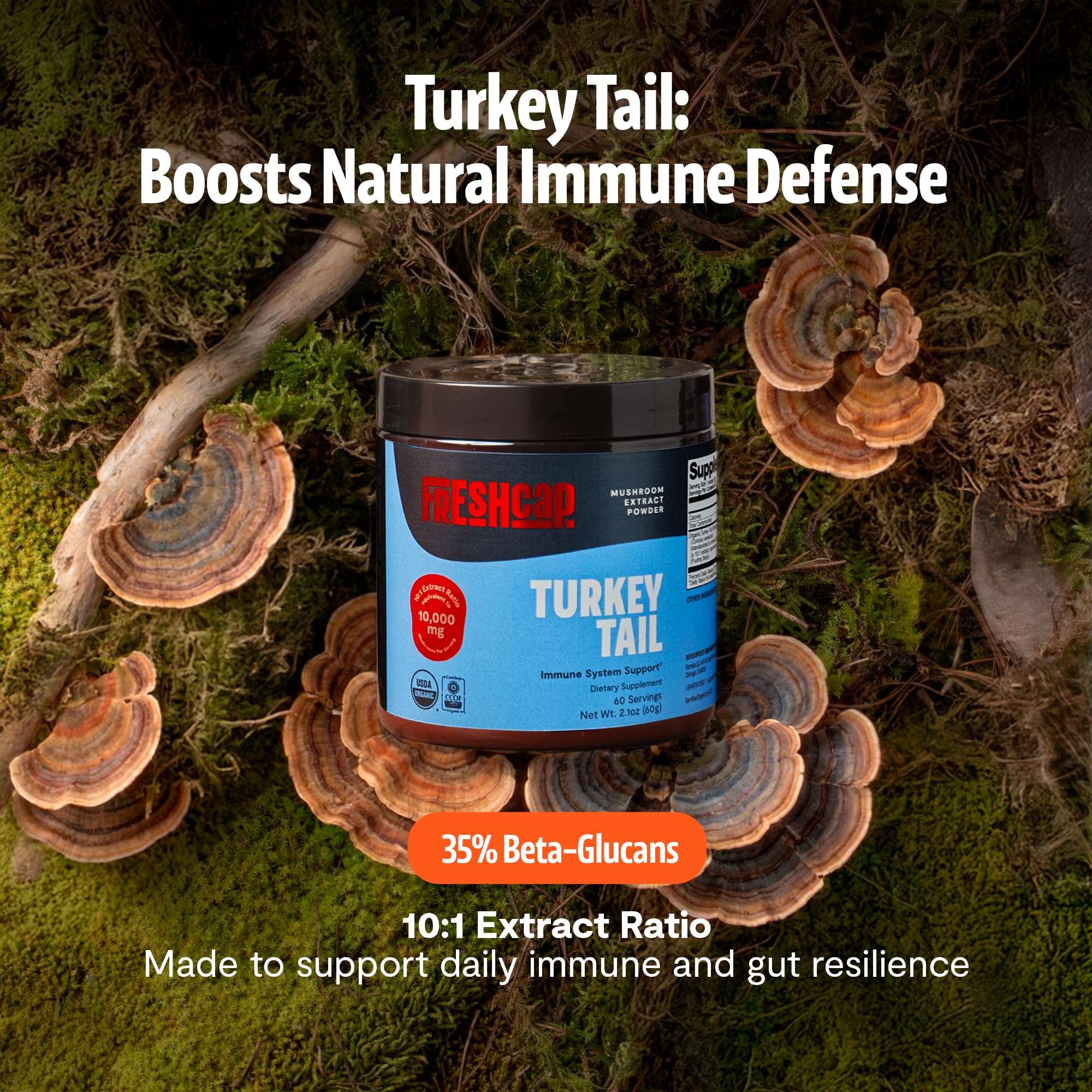 FreshCap Mushrooms Turkey Tail powder pour shows easy addition to beverages.