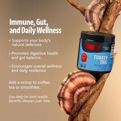 FreshCap Mushrooms Turkey Tail powder scoop ready for daily use.