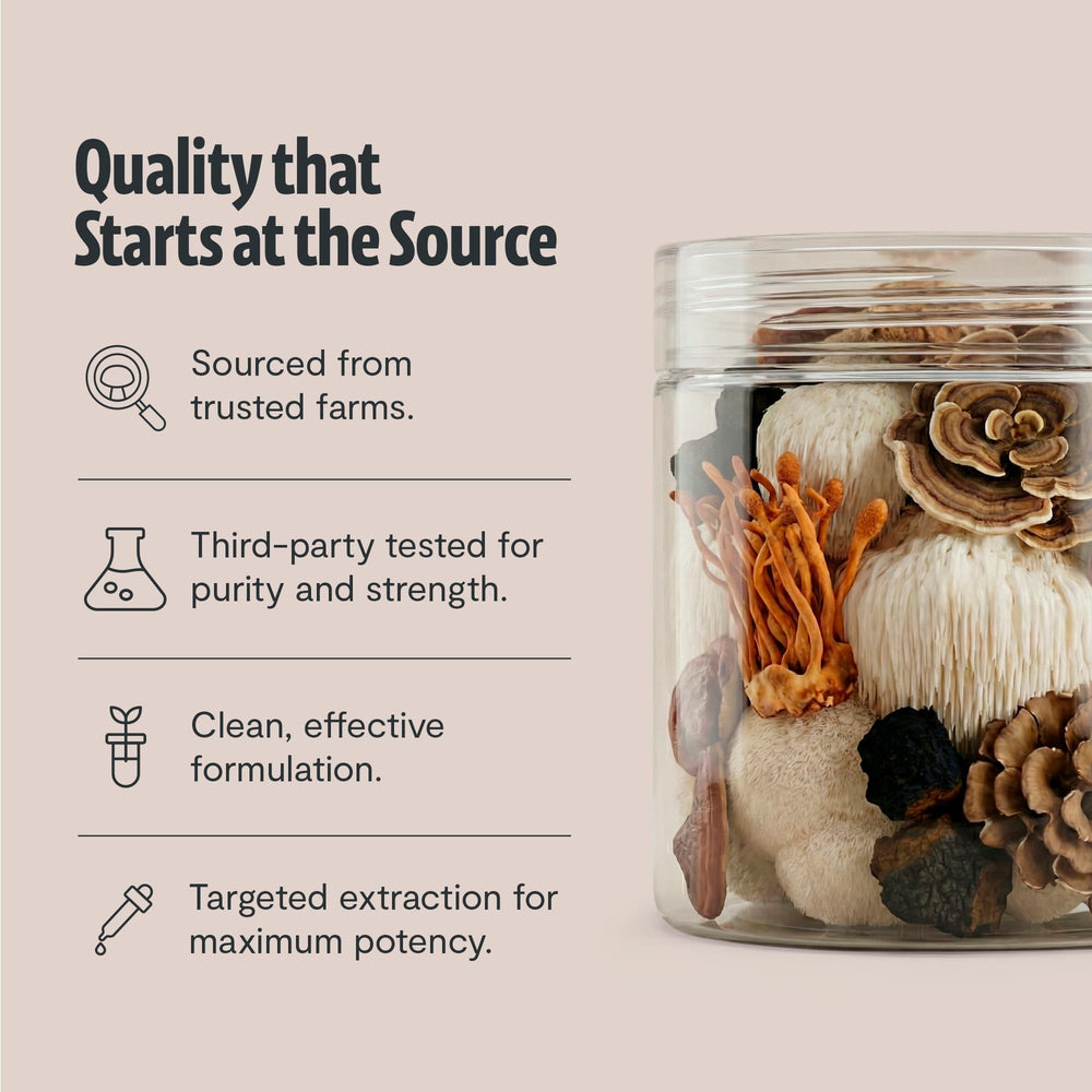 Mushroom blend in glass bottle conveys premium quality and purity.