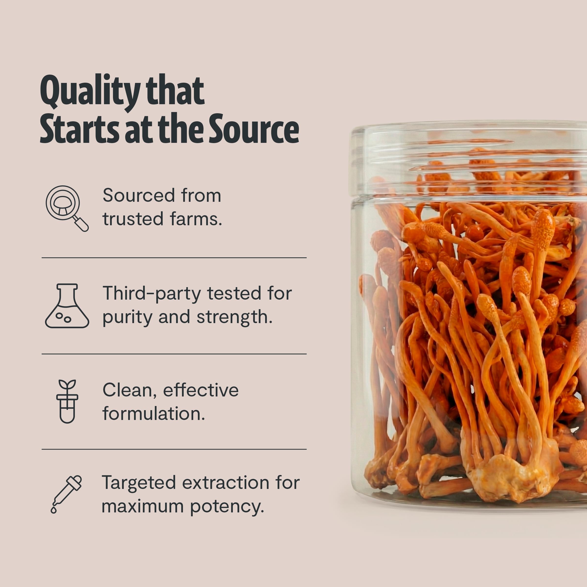 Third-party testing seal on FreshCap Cordyceps jar for purity assurance