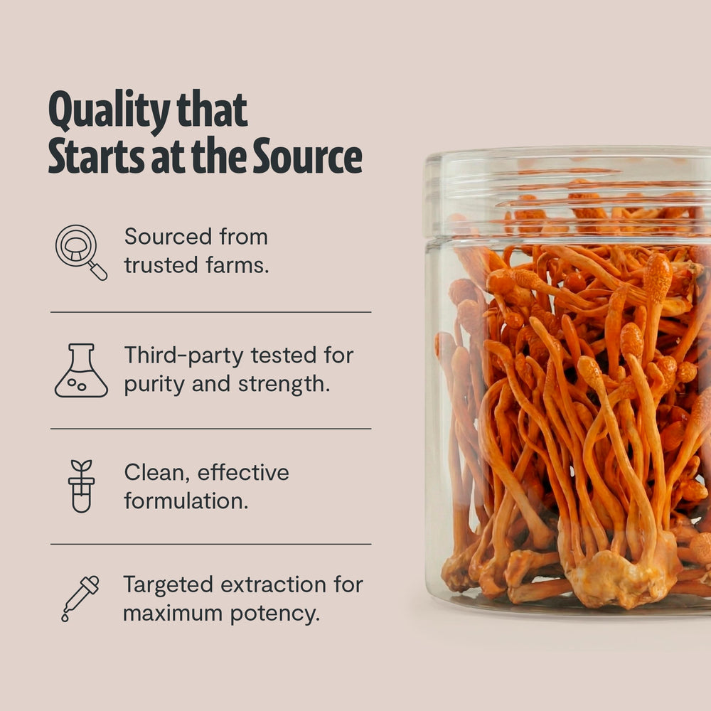 Third-party testing seal on FreshCap Cordyceps jar for purity assurance