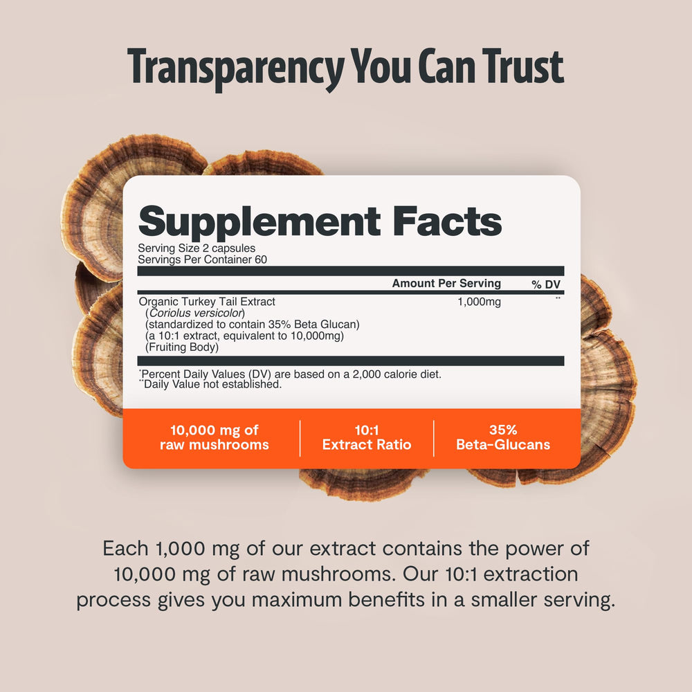 FreshCap Turkey Tail capsules spilled to illustrate daily intake.