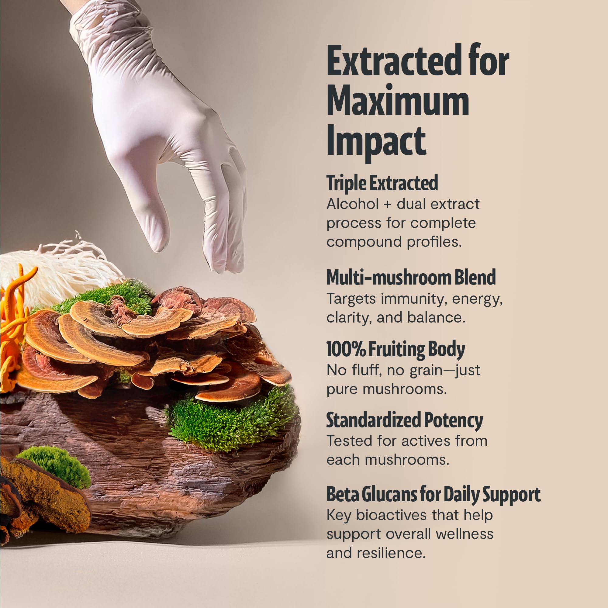 FreshCap Ultimate Mushroom Label highlights organic certification and key product details.