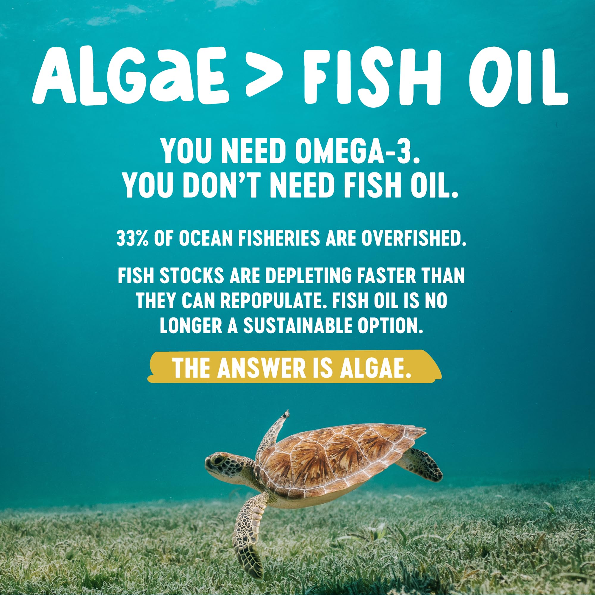 Freshfield carrageenan-free capsules offer a clean, plant-based omega option