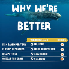 Freshfield Omega-3 carrageenan-free capsules suitable for sensitive digestion and ongoing use