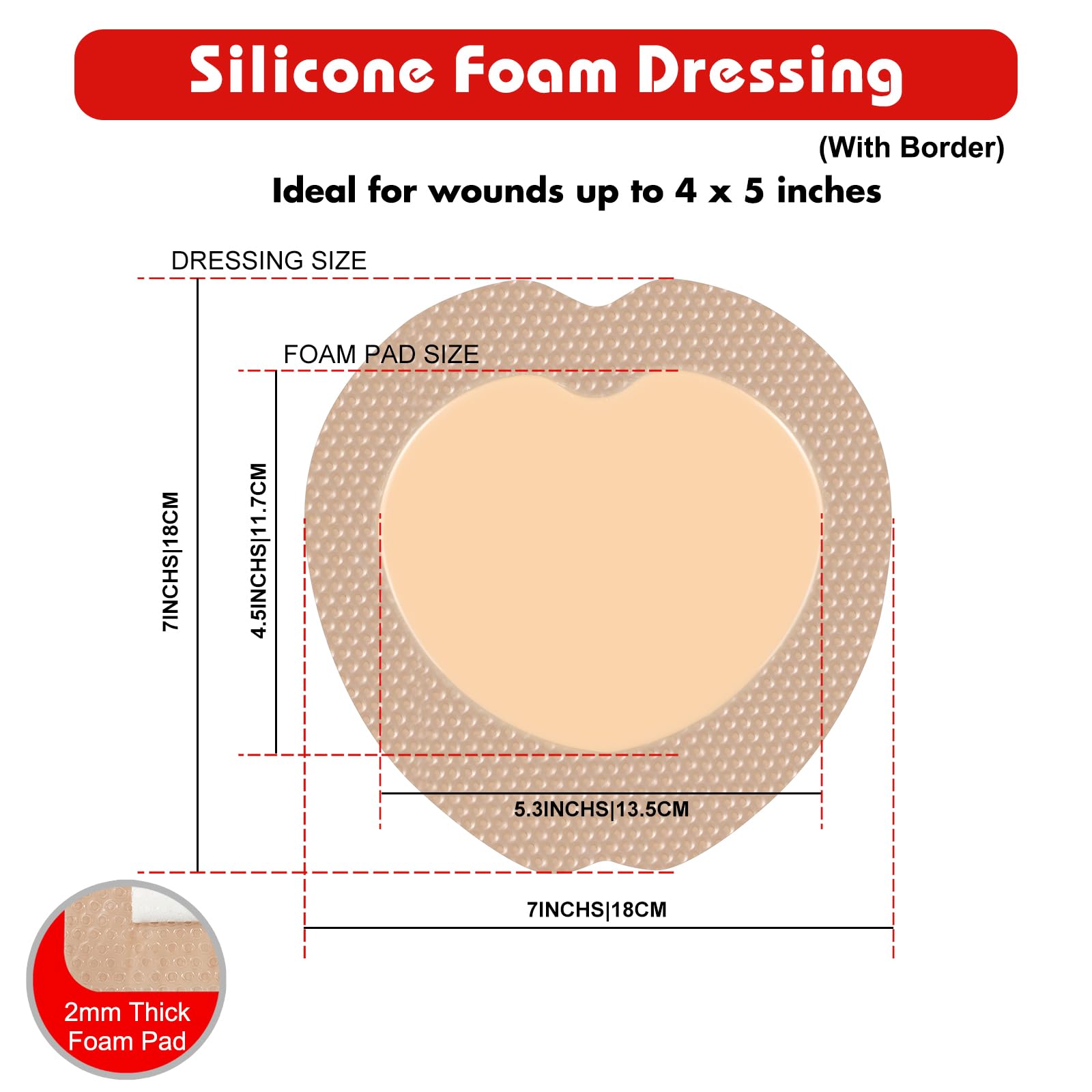 FRESINIDER 7x7 foam dressing with thick core absorbs exudate efficiently.