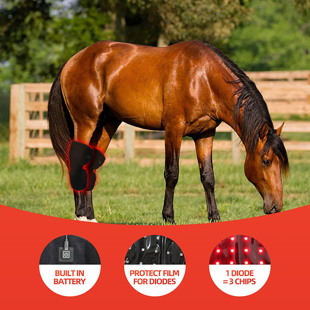 FSDLJSP Foldable soft wrap for comfortable horse support