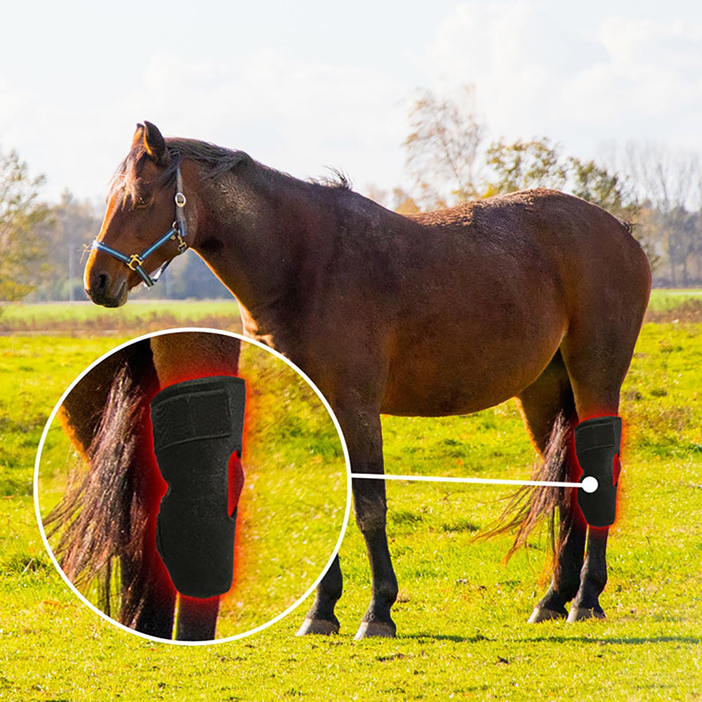 FSDLJSP rechargeable, portable design for use in stables or arenas